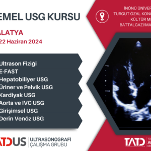 Temel Ultrasonografi Kursu 21 - 22 Haziran 2024, Malatya