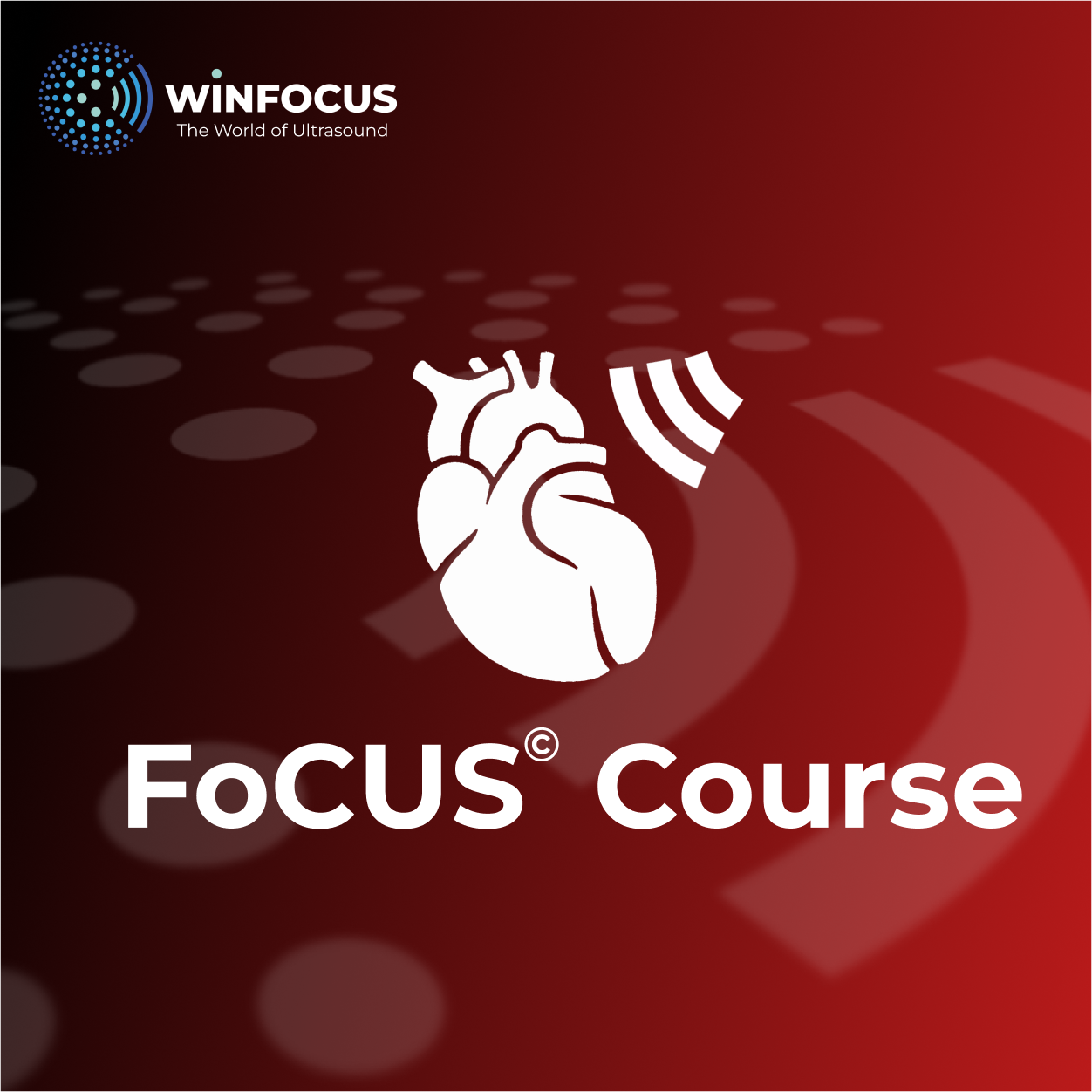 19 Kasım 2026 WINFOCUS Odaklanmış Ekokardiyografi – FoCUS Kursu, EACEM 2026